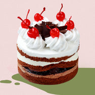 [Mother's Day 10% OFF] Black Forest